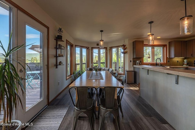 dining area with plenty of natural light, dark hardwood / wood-style flooring, and sink