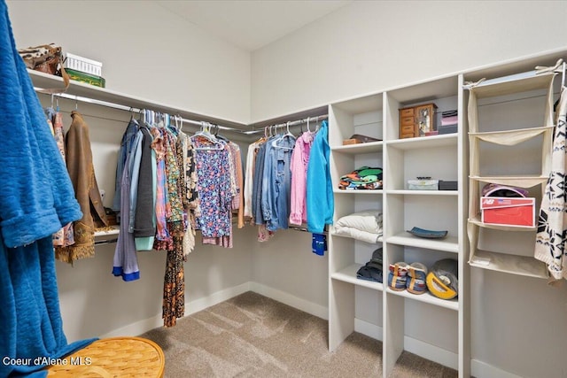 walk in closet with carpet