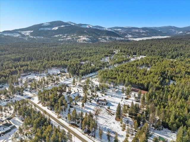 drone / aerial view featuring a mountain view and a wooded view