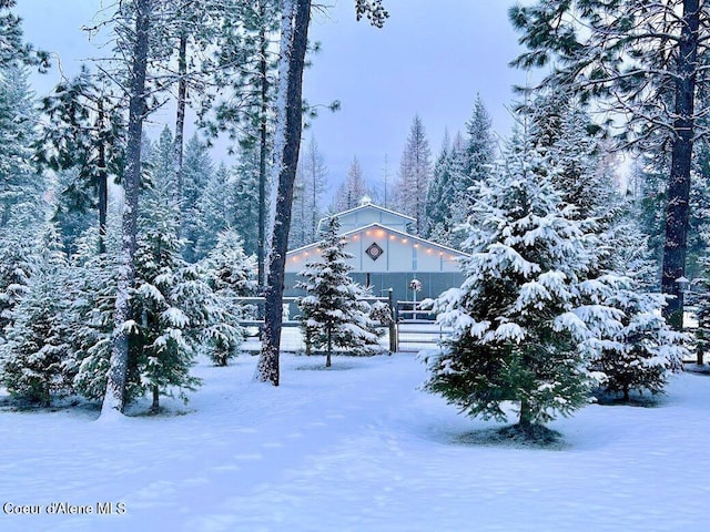 view of yard layered in snow