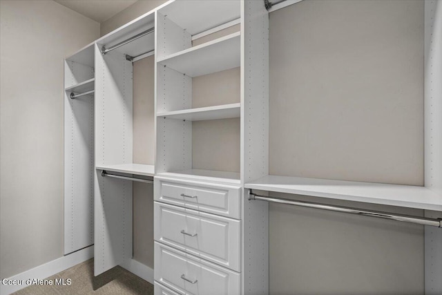 spacious closet featuring light carpet