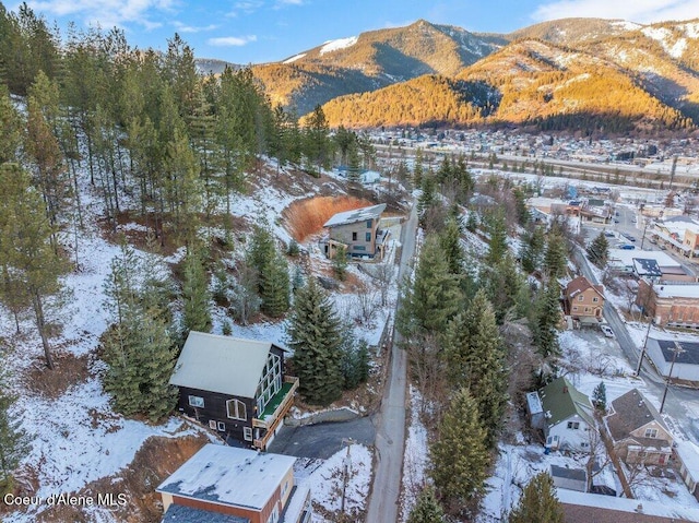 snowy aerial view featuring a mountain view