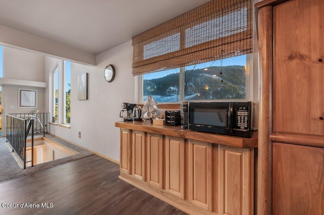 interior space with a mountain view and dark wood-type flooring