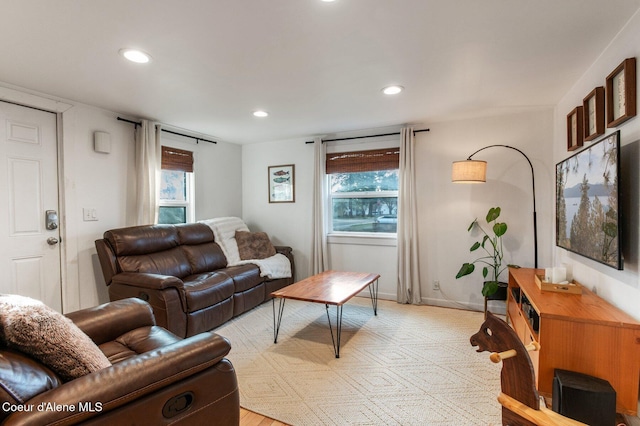 living room featuring a healthy amount of sunlight and light hardwood / wood-style floors