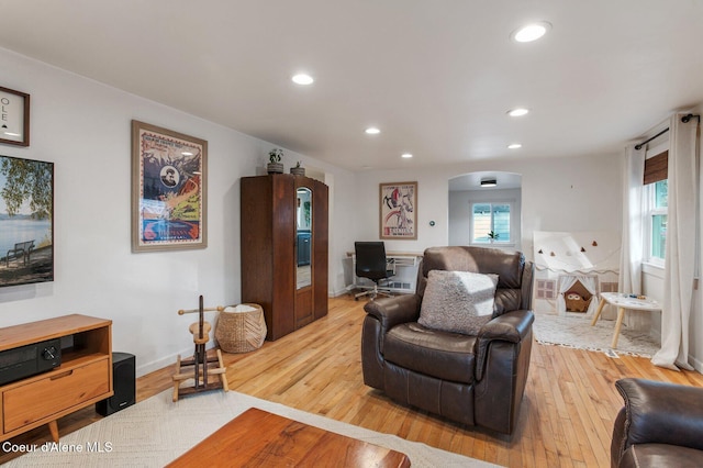 living room featuring light hardwood / wood-style flooring