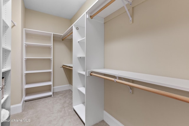 spacious closet featuring light colored carpet