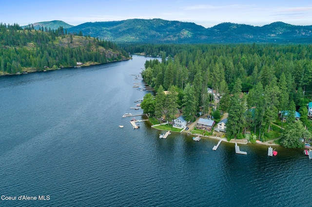 birds eye view of property featuring a water and mountain view