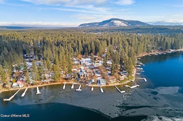 bird's eye view with a water and mountain view