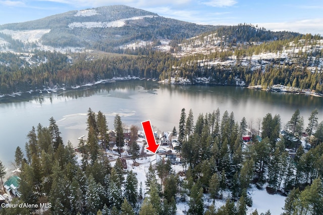 bird's eye view with a water and mountain view