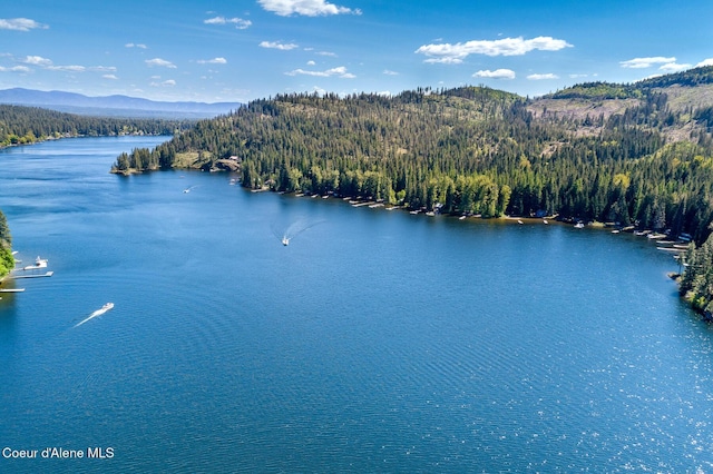 water view with a mountain view