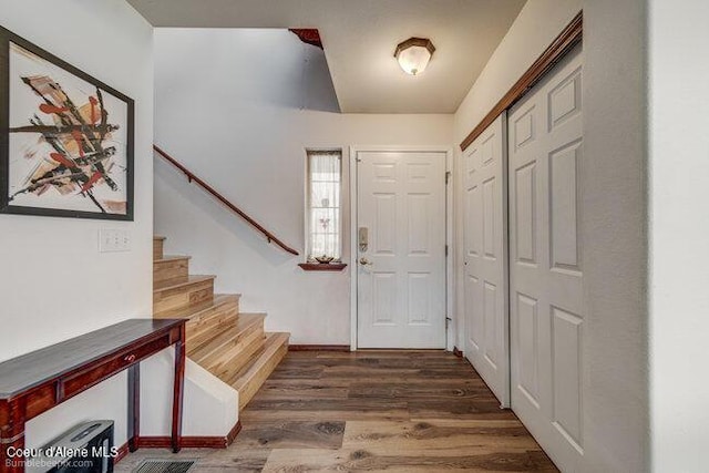 entrance foyer featuring dark wood-type flooring