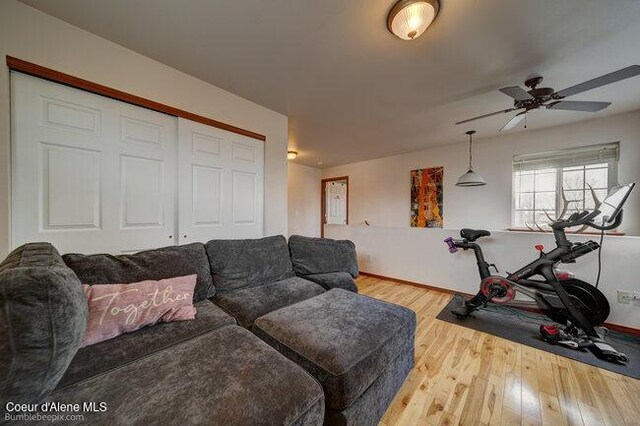 living room featuring ceiling fan and wood-type flooring