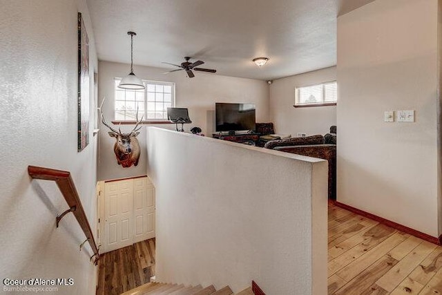 living room featuring ceiling fan and light hardwood / wood-style floors