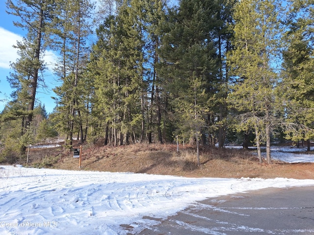 NNA Parkland Dr, Blanchard ID, 83804 land for sale