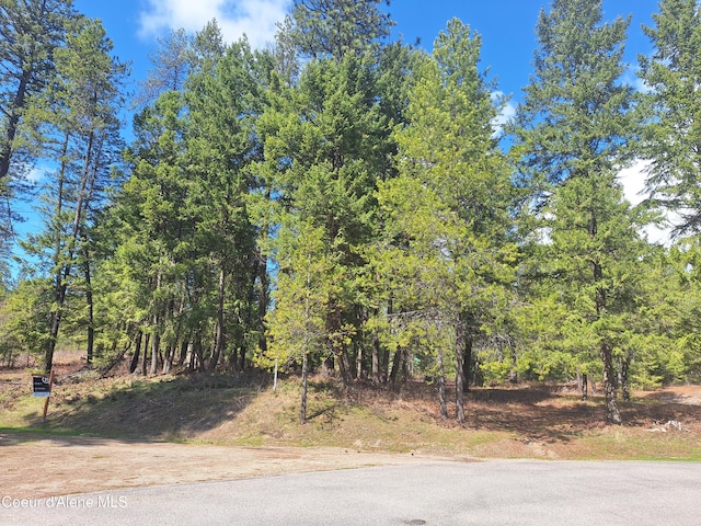 NNA Parkland Dr, Blanchard, ID 83804 - photo 1