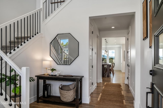 entrance foyer featuring dark hardwood / wood-style flooring