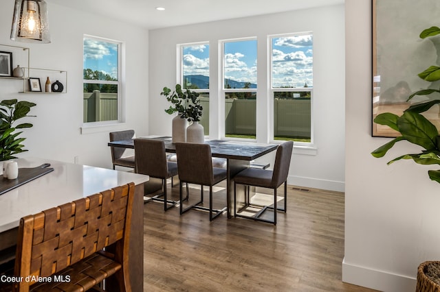 dining room with dark wood-type flooring