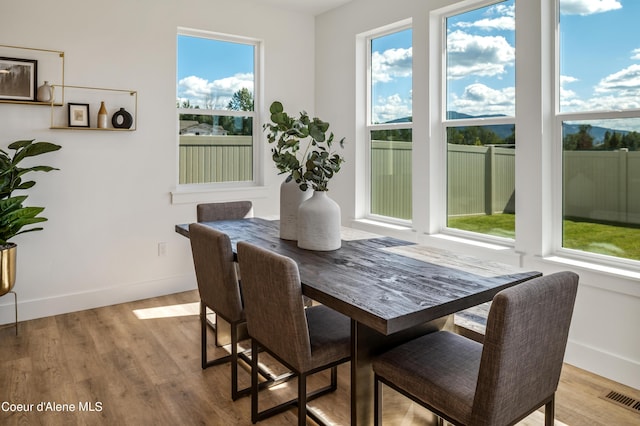 dining space featuring light wood-type flooring and plenty of natural light