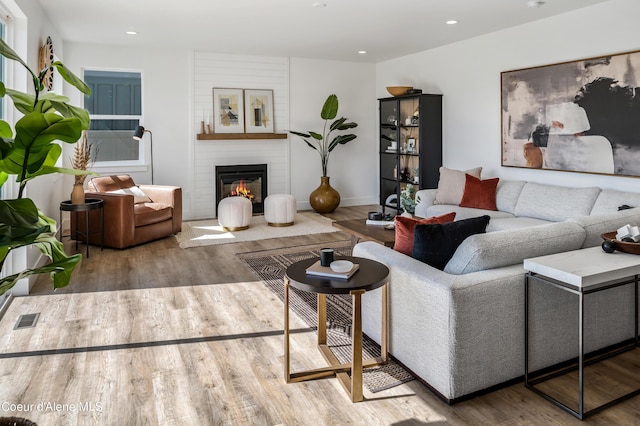 living room with wood-type flooring and a fireplace