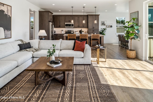 living room featuring hardwood / wood-style flooring