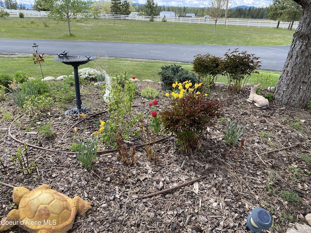 view of yard with a rural view