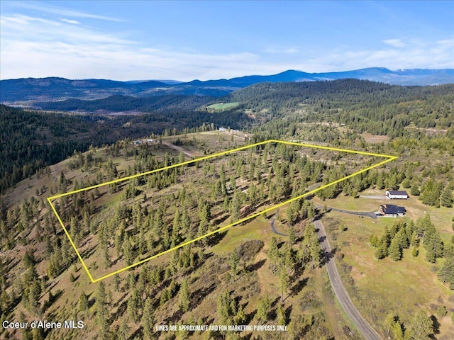 735 Echo Springs Rd, Saint Maries ID, 83861 land for sale