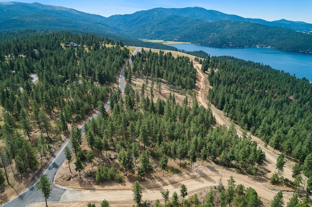 313 N Blue Skies Ln, Liberty Lake, WA 99019 - photo 4
