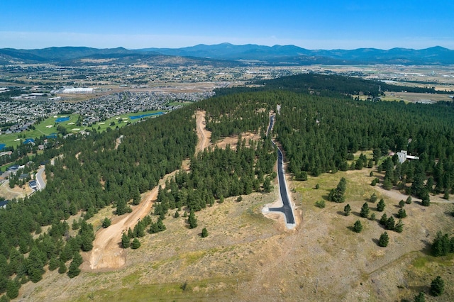 313 N Blue Skies Ln, Liberty Lake, WA 99019 - photo 5