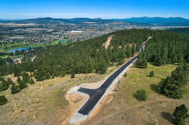 313 N Blue Skies Ln, Liberty Lake, WA 99019 - photo 6