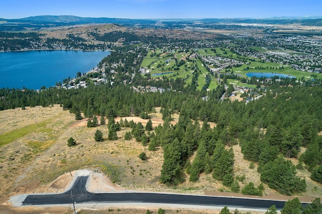 313 N Blue Skies Ln, Liberty Lake, WA 99019 - photo 7