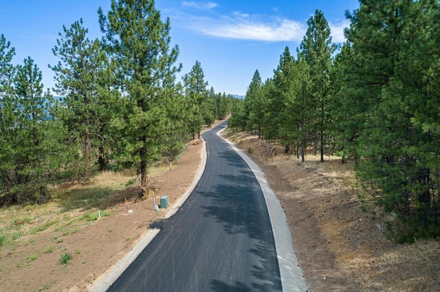 313 N Blue Skies Ln, Liberty Lake, WA 99019 - photo 8