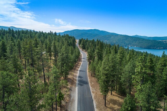 313 N Blue Skies Ln, Liberty Lake, WA 99019 - photo 9
