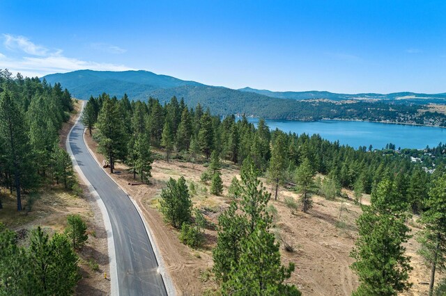 313 N Blue Skies Ln, Liberty Lake, WA 99019 - photo 10