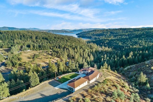 drone / aerial view featuring a mountain view