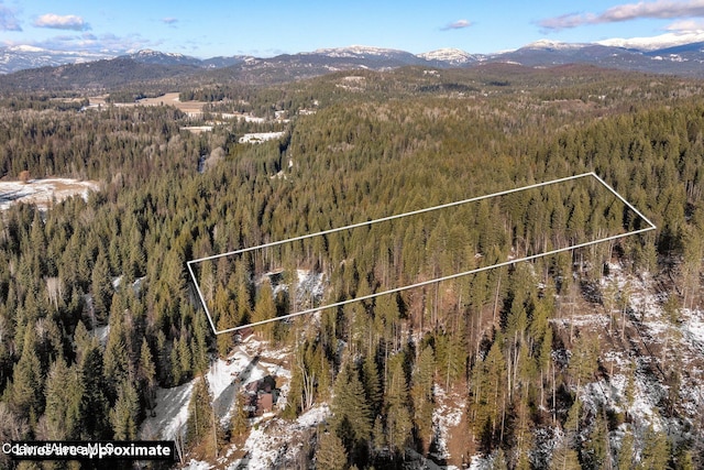 bird's eye view with a mountain view