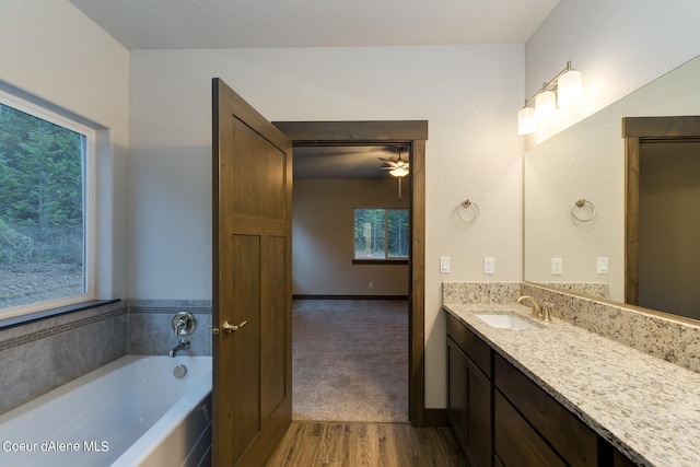 bathroom with a tub, plenty of natural light, wood-type flooring, and vanity