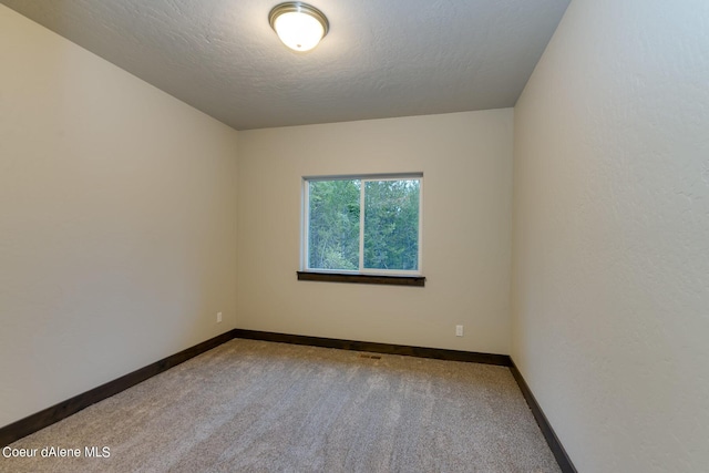 spare room with carpet and a textured ceiling