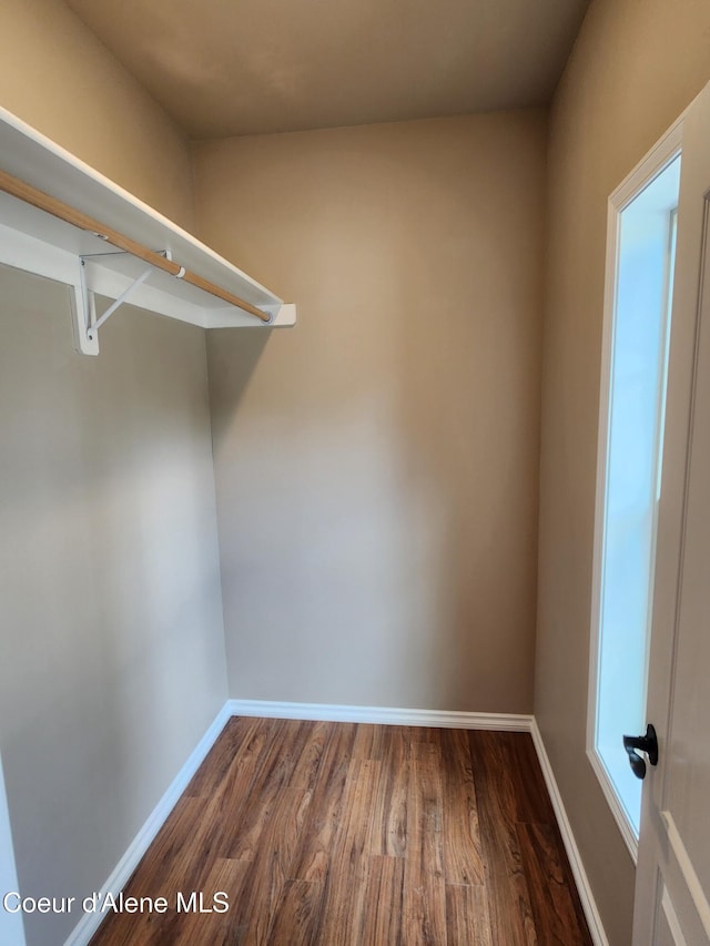 walk in closet with wood-type flooring