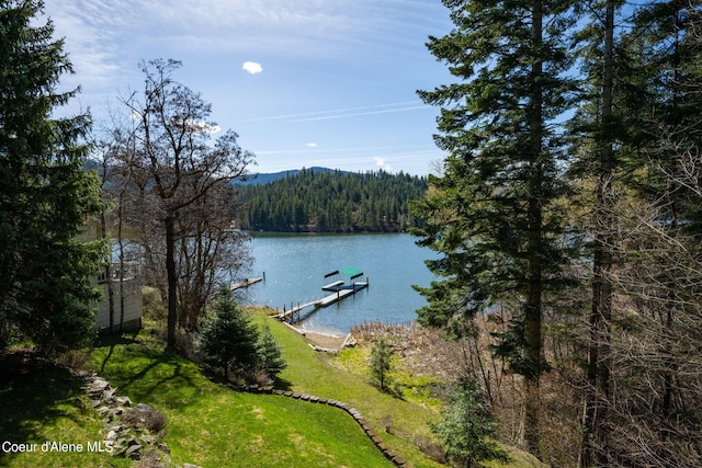 19503 E Hayden Lake Rd, Hayden, ID 83835 - water view featuring a forest view and a boat dock
