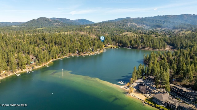 19503 E Hayden Lake Rd, Hayden, ID 83835 - drone / aerial view with a forest view and a water and mountain view
