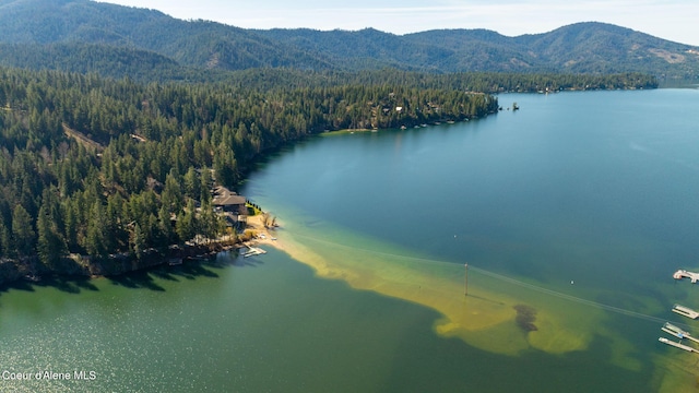 19503 E Hayden Lake Rd, Hayden, ID 83835 - bird's eye view with a water and mountain view and a view of trees