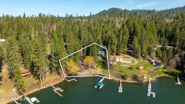 19503 E Hayden Lake Rd, Hayden, ID 83835 - aerial view with a water view and a view of trees
