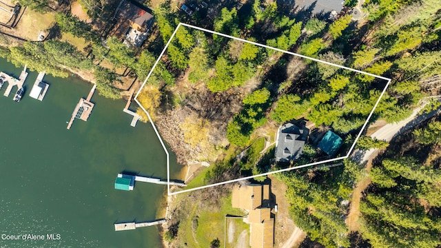 19503 E Hayden Lake Rd, Hayden, ID 83835 - drone / aerial view