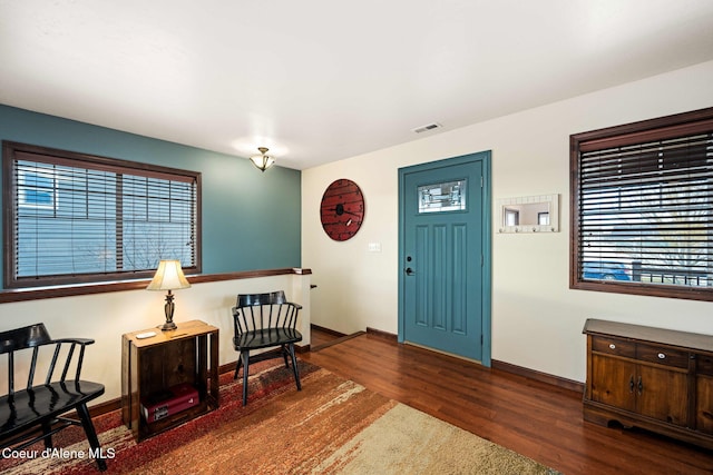 foyer entrance featuring dark wood-type flooring