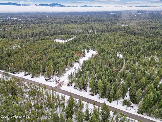 NKA W Sturgeon Rd Lot 4, Rathdrum ID, 83858 land for sale