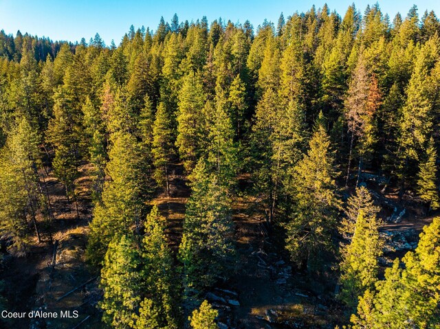 L11 W Mica Shore Rd, Coeur Dalene, ID 83814 - photo 11