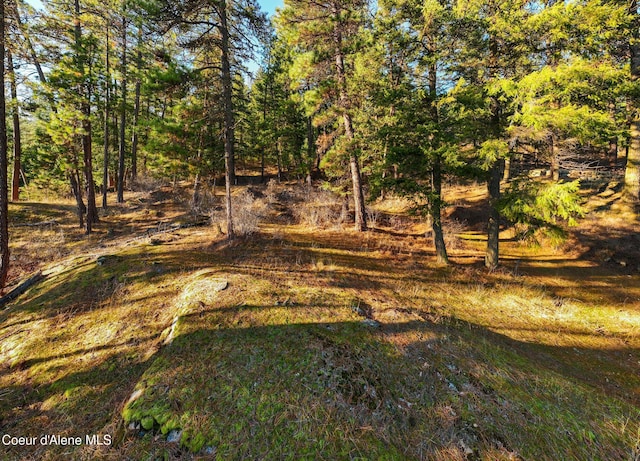 L11 W Mica Shore Rd, Coeur Dalene, ID 83814 - photo 3