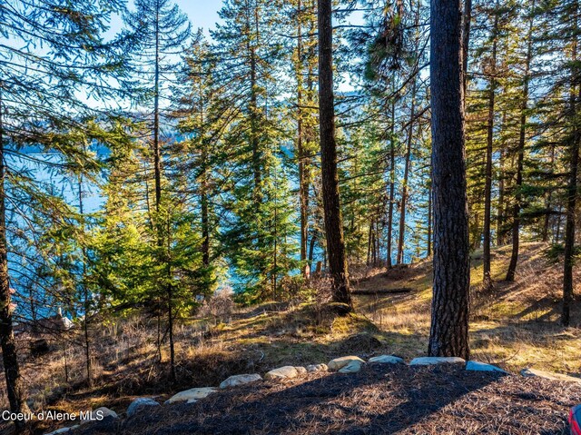 L11 W Mica Shore Rd, Coeur Dalene, ID 83814 - photo 14