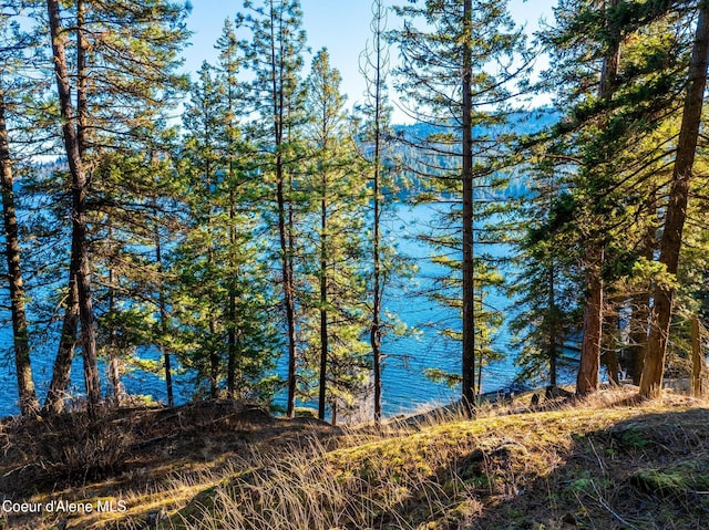 L11 W Mica Shore Rd, Coeur Dalene, ID 83814 - photo 17