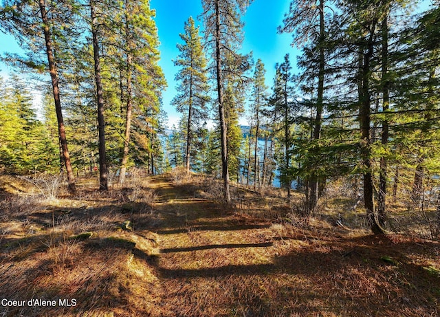 L11 W Mica Shore Rd, Coeur Dalene, ID 83814 - photo 2